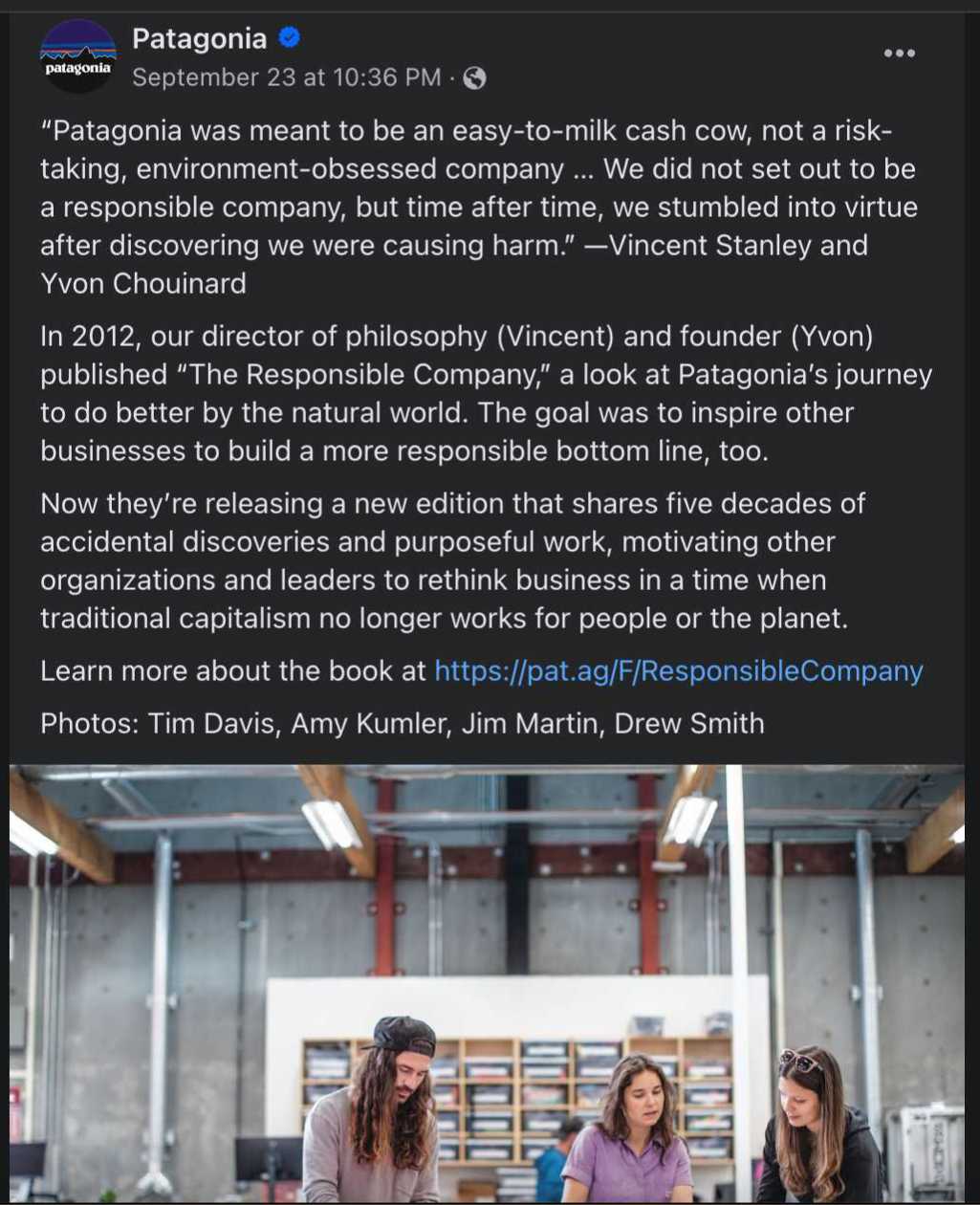 Patagonia is an example of a business with amazing company culture.